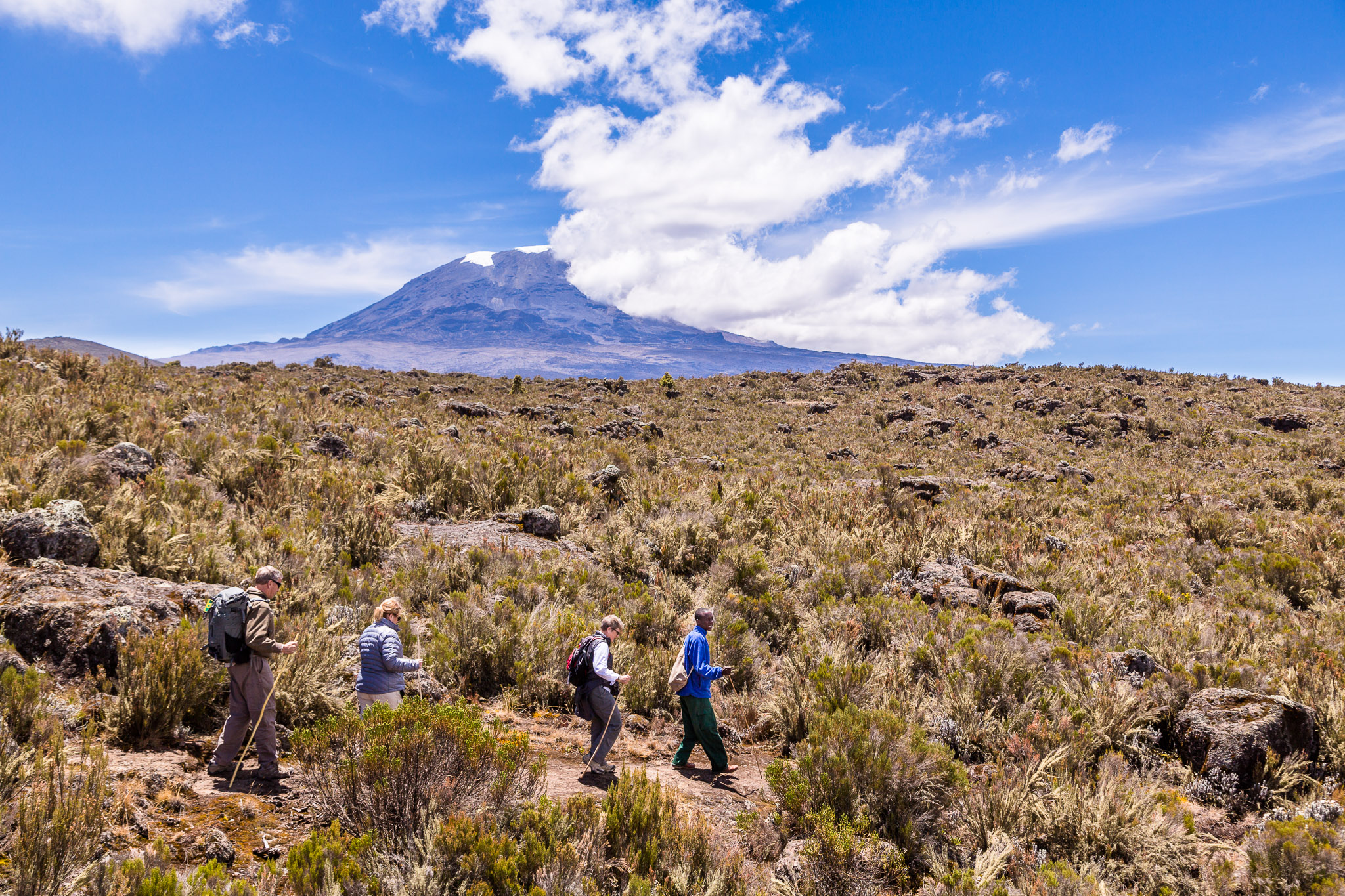 Hiking on the Shira Plateau (11,000') beneath Mt. Kilimanjaro