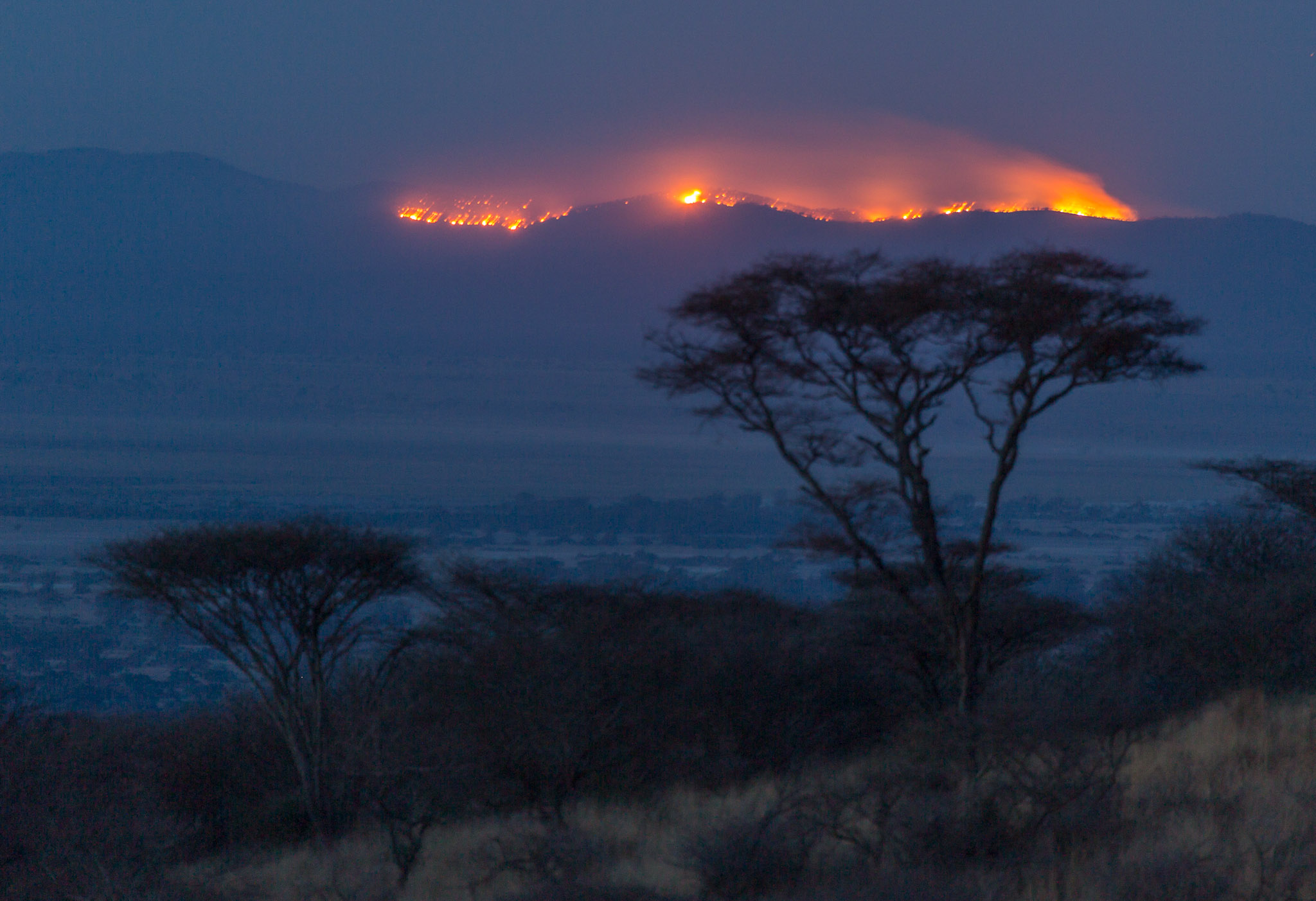 Distant wildfire in Kenya