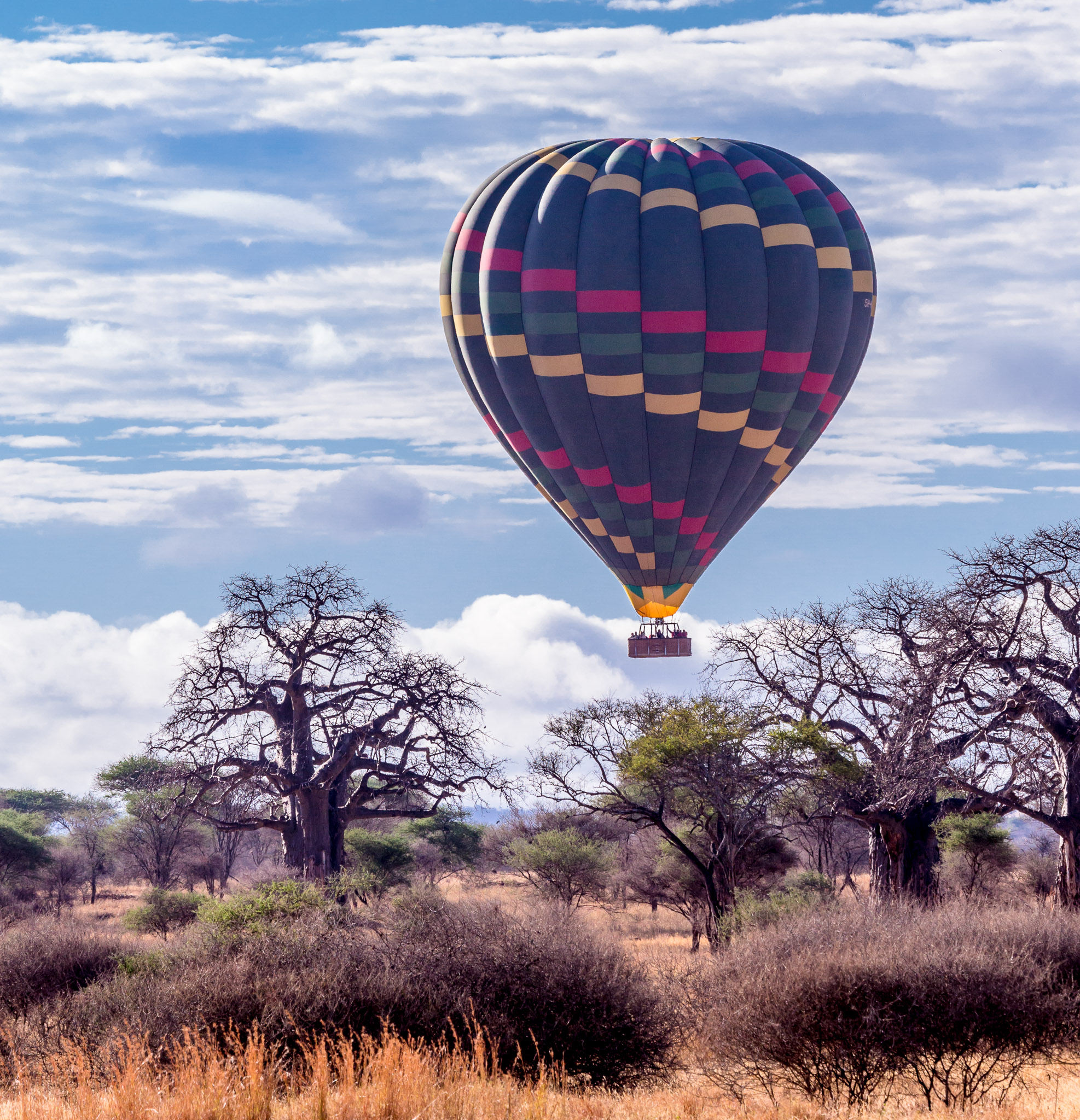 Hot Air Balloon over Baobab Trees