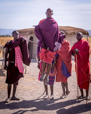 Maasai men performing iconic jump/dance