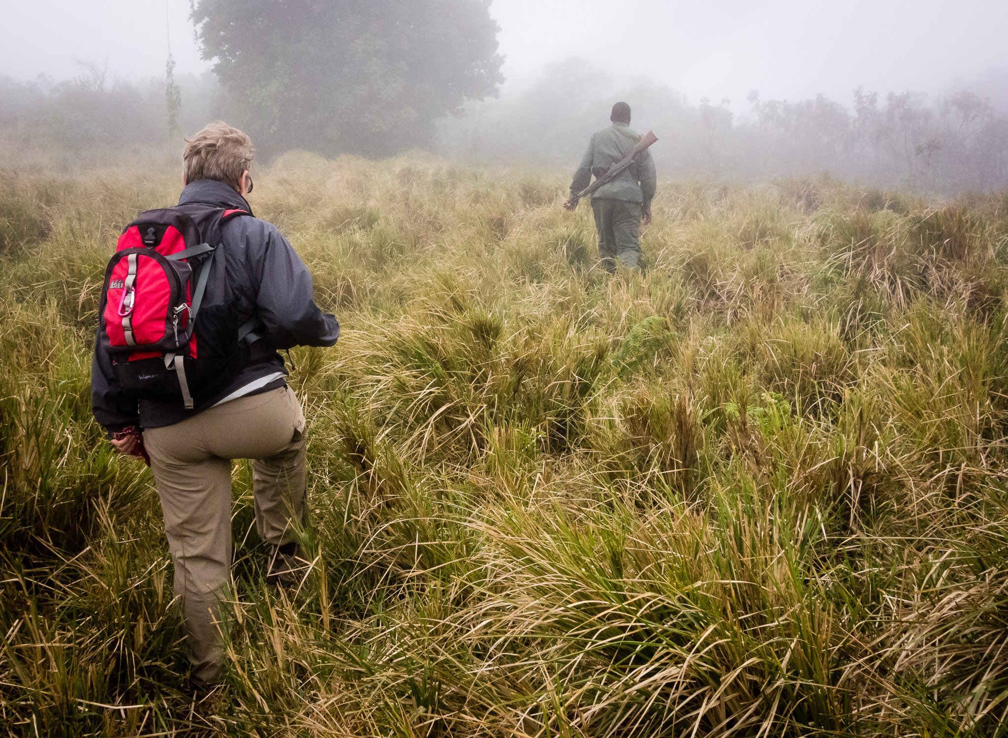 Hiking down from Ngorongoro Crater's rim