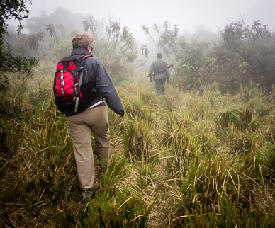 Hiking down from Ngorongoro Crater's rim