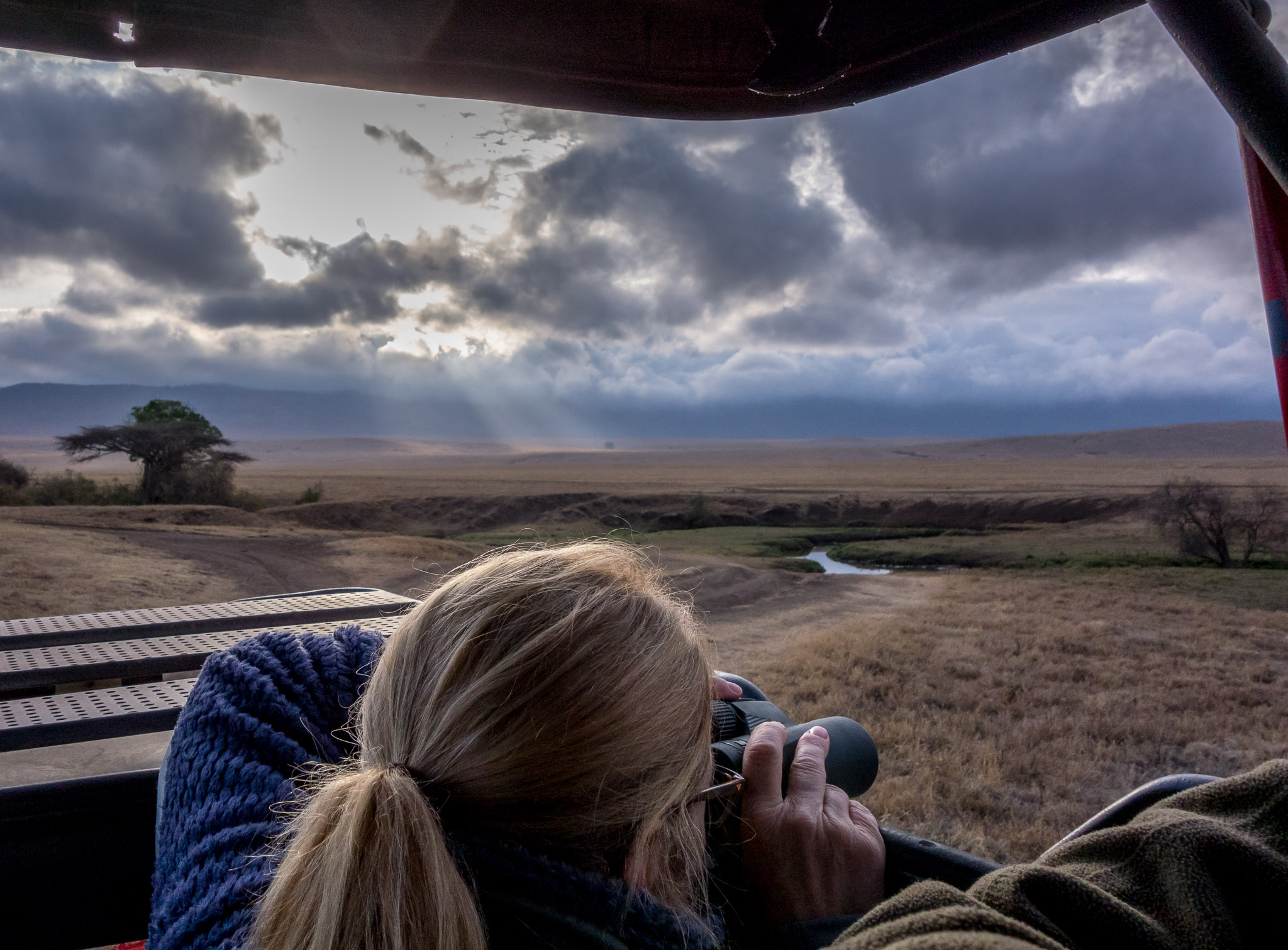 Early morning game drive