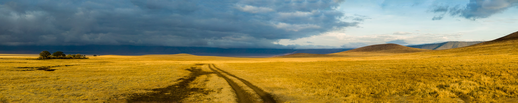 Early morning on Ngorongoro  Crater's floor