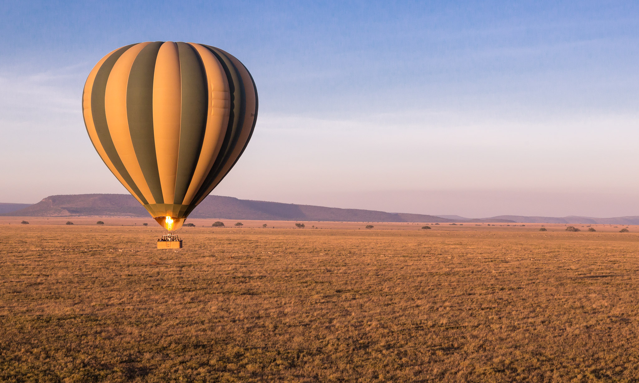 Hot Air Balloon over Serengeti