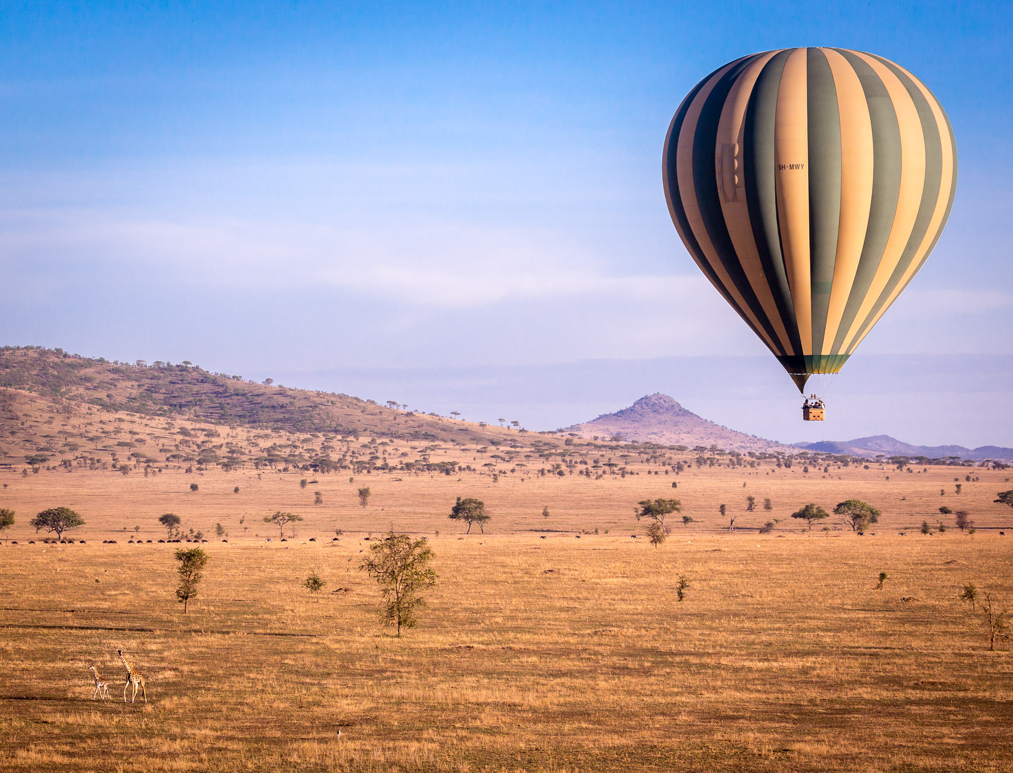 Hot Air Balloon over Serengeti