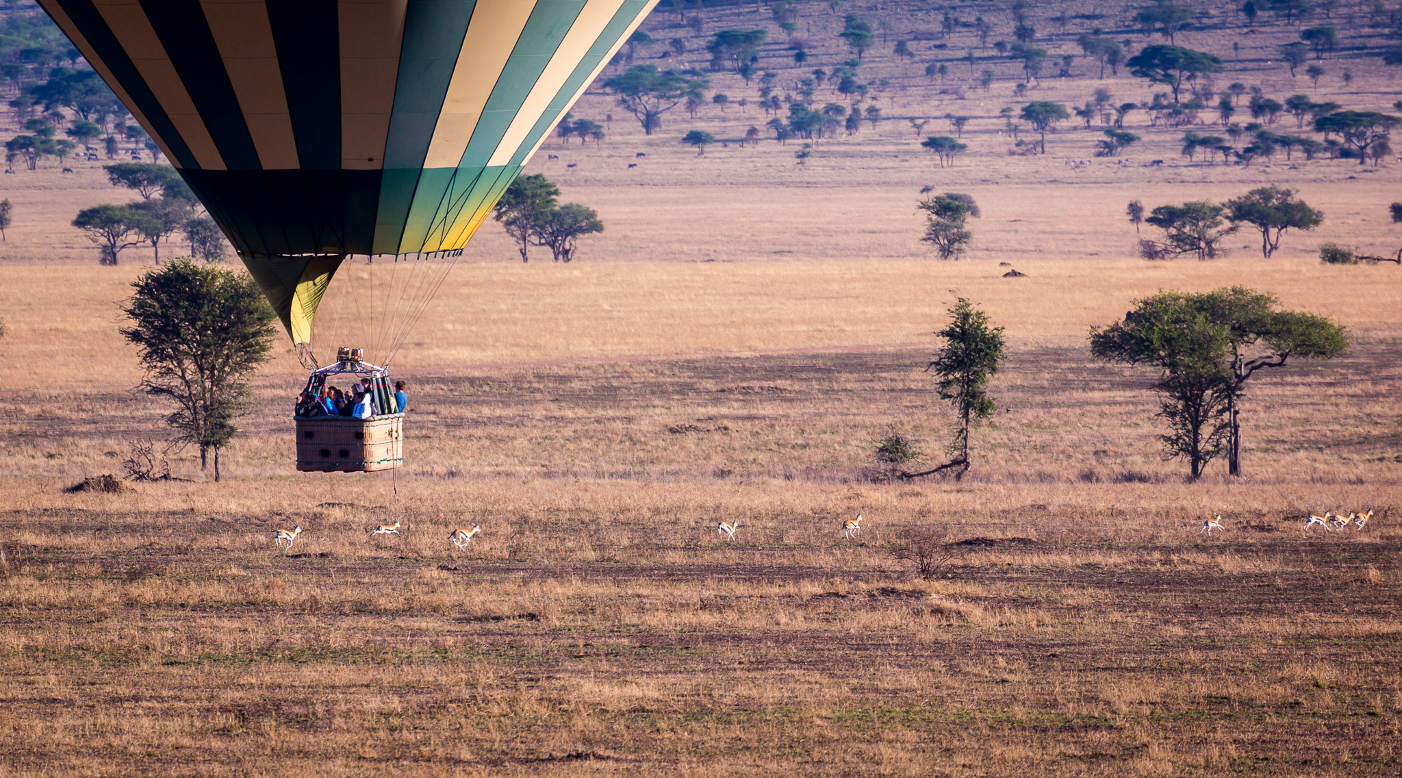 Hot Air Balloon over Serengeti
