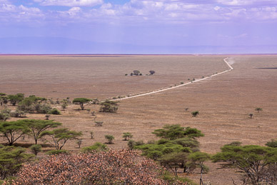 Definition of Serengeti: "Endless Plains"