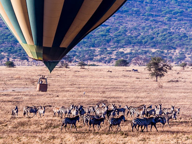 Hot Air Balloon over Serengeti