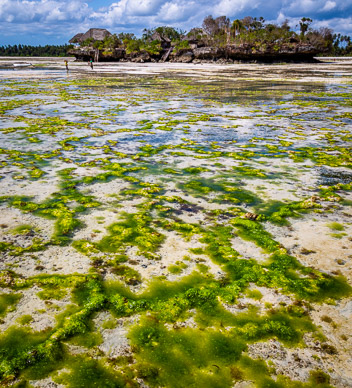 Zanzibar Rock Restaurant