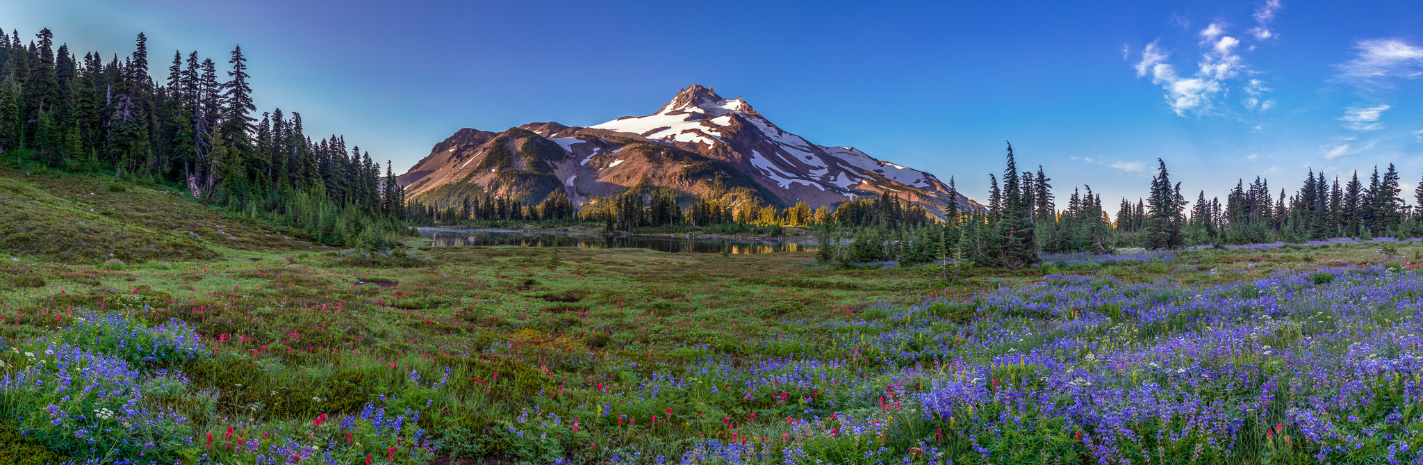 Wildflowers at Russell Lake, Mt. Jefferson Park
