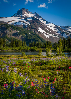 Wildflowers at Russell Lake, Mt. Jefferson Park
