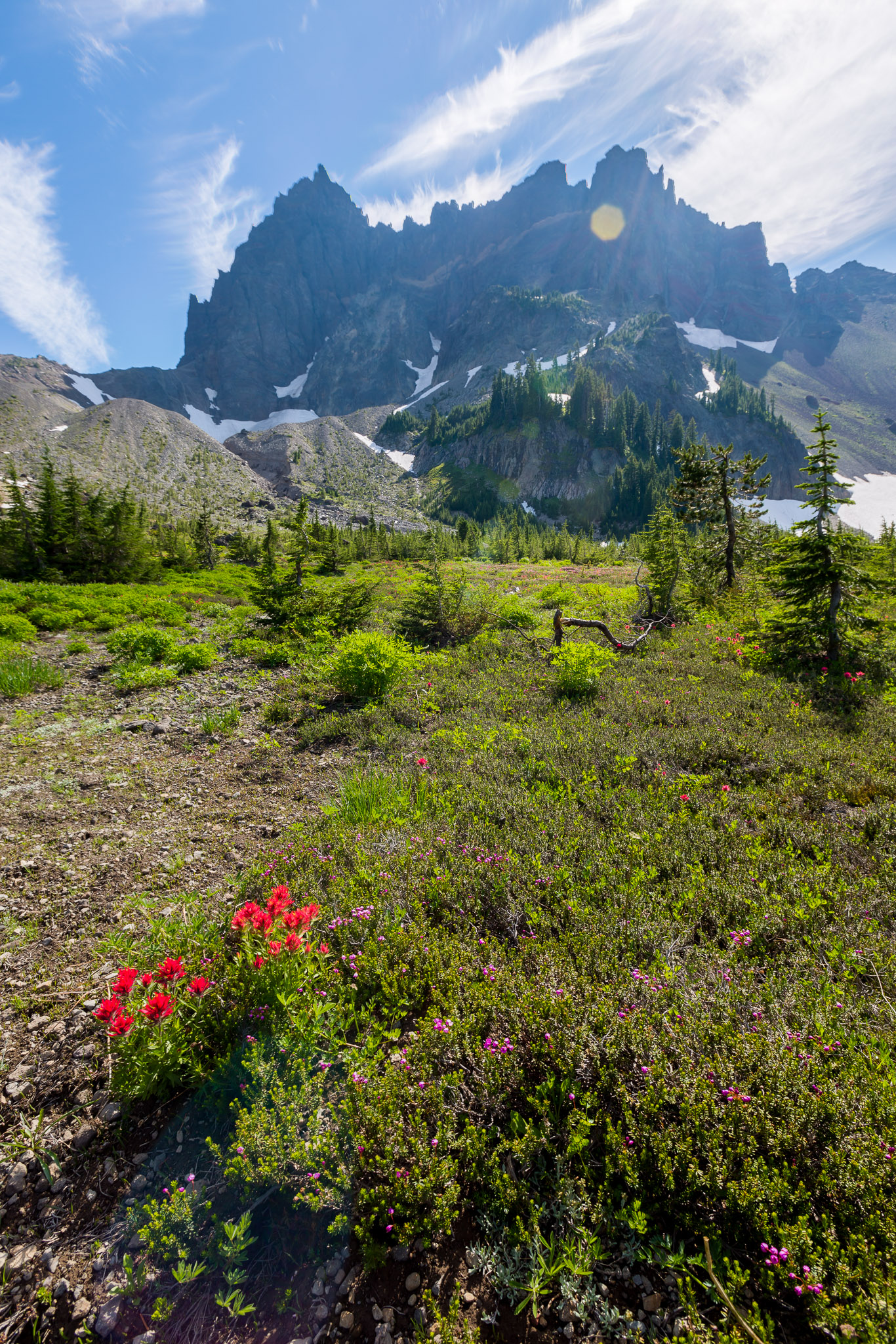 Upper Canyon Creek Meadows & 3 Fingered Jack, with a few paintbrush & heather