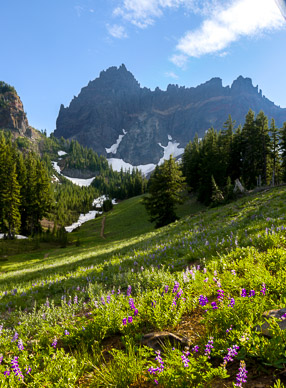 Upper Canyon Creek Meadows trail, with 3 Fingered Jack