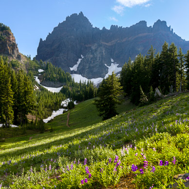 Upper Canyon Creek Meadows trail, with 3 Fingered Jack