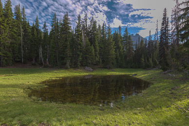 Small tarn on trail into Canyon Creek; 3 Fingered Jack in background