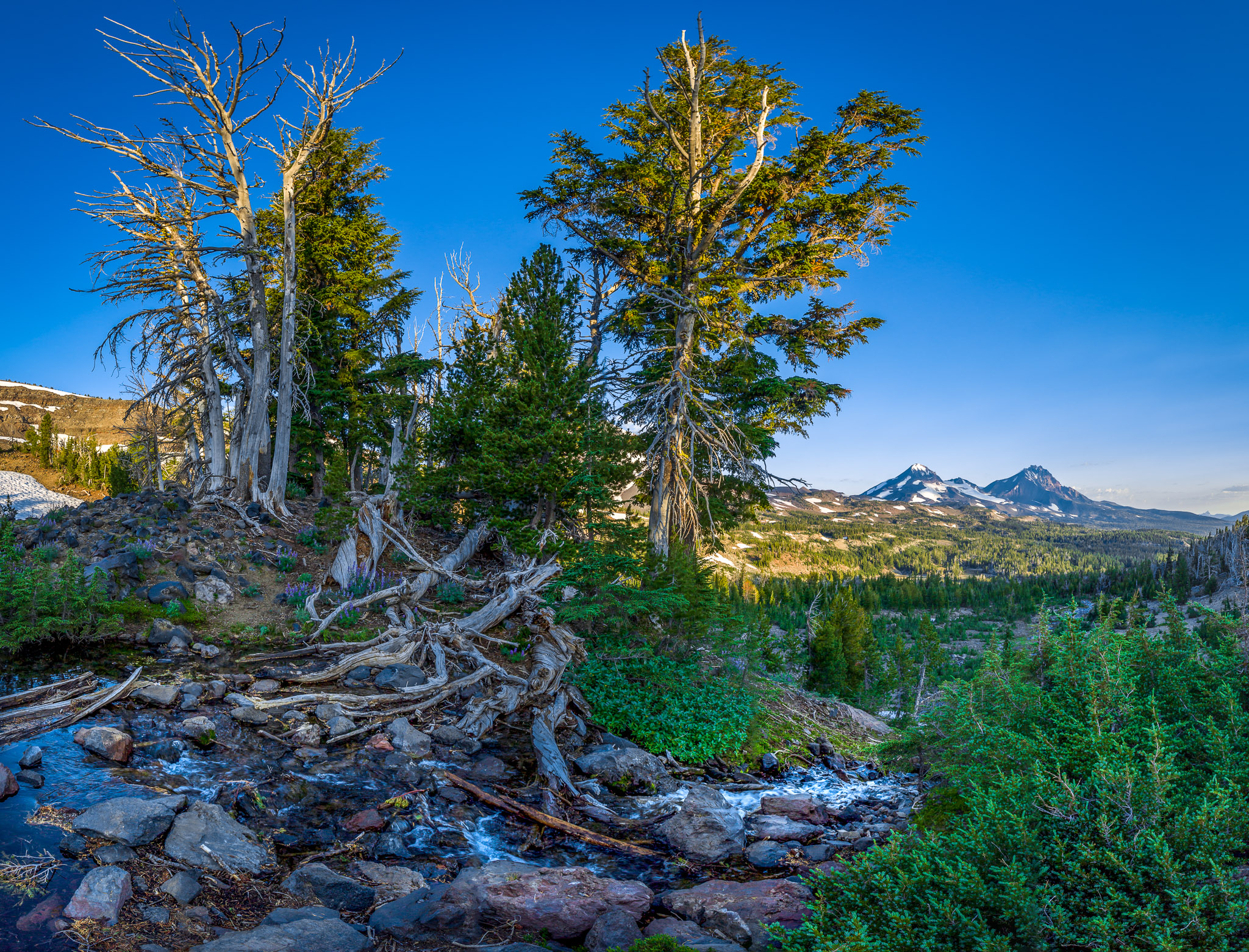 View from tarn's outlet above Golden Lake