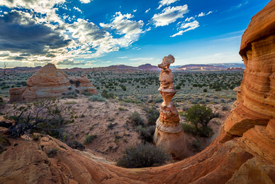 The Queen, East Cottonwood Cove, South Coyote Buttes