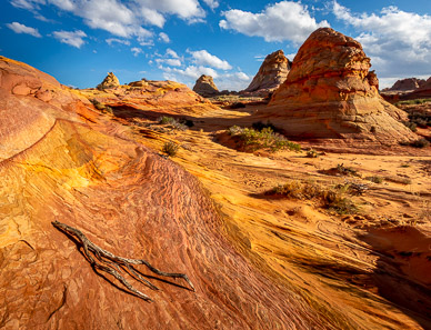 Colorful Rock, Cottonwood Cove