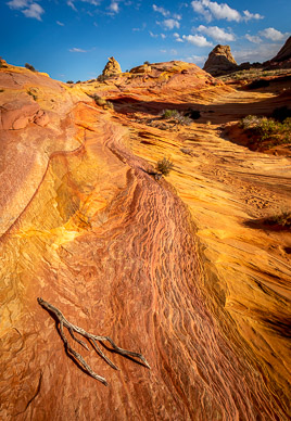 Colorful Rock, Cottonwood Cove