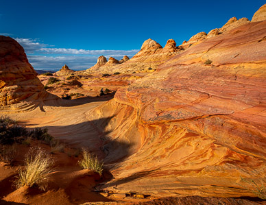 Colorful Rock, Cottonwood Cove
