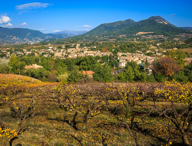 Mirabel aux Baronnies, with apricot orchard in foreground