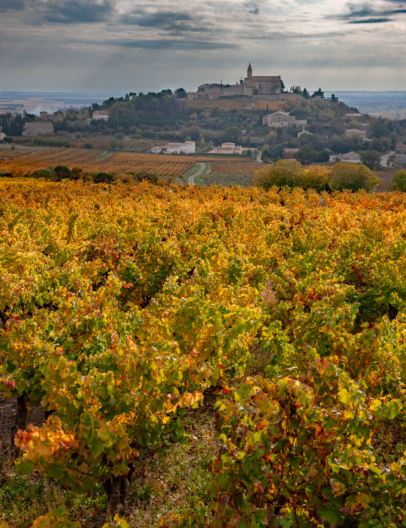 Autumn in Cairanne, France