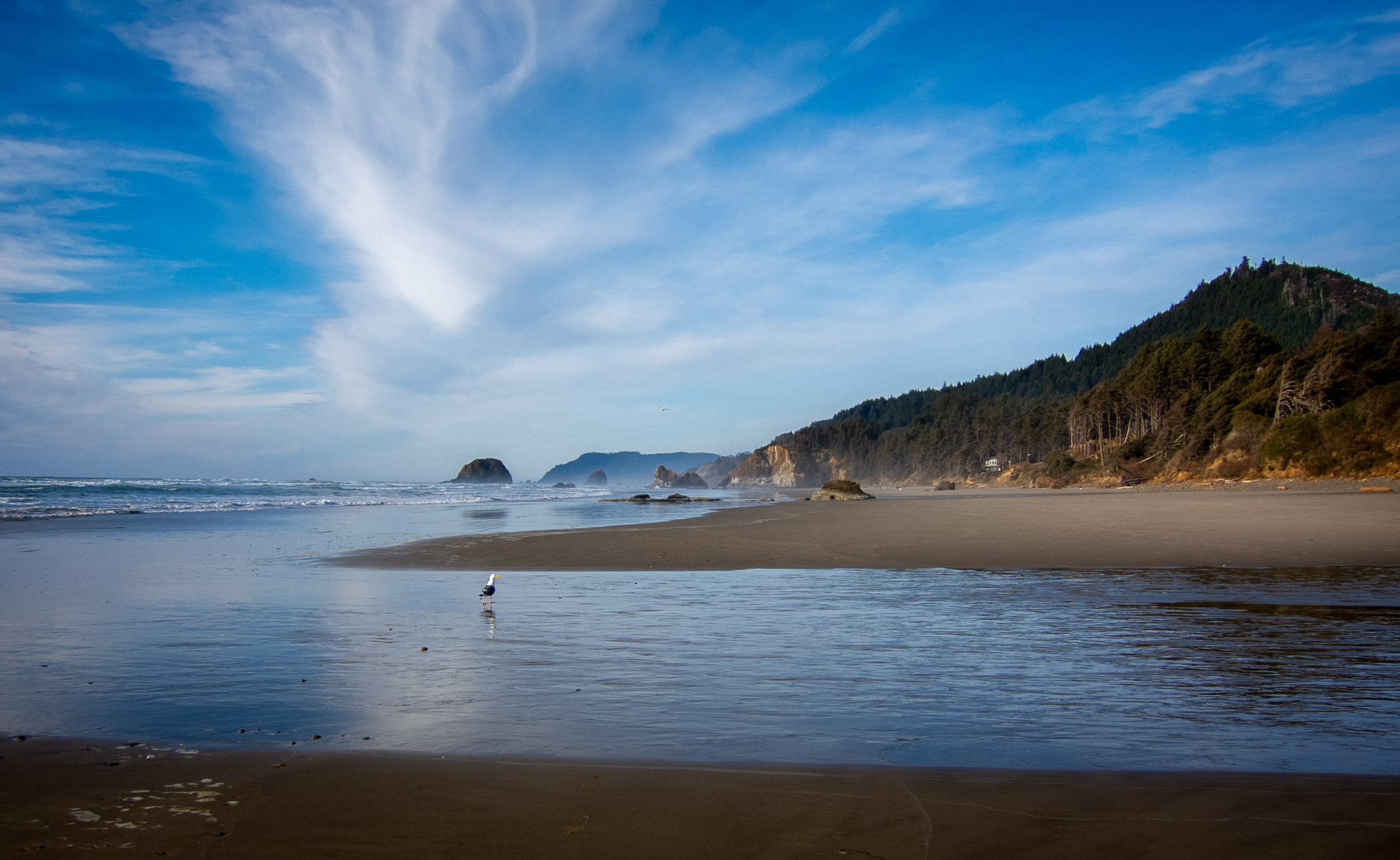 Arcadia Beach, Oregon Coast