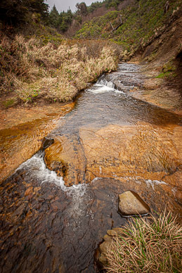 Fall Creek, above Hug Point Falls, Oregon Coast
