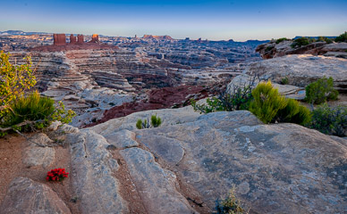 Chocolate Drops in evening light from Maze Overlook