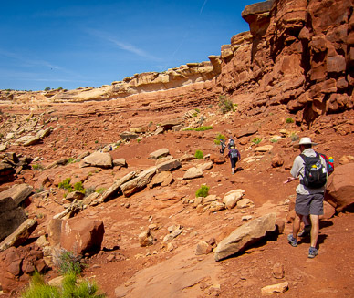 Climb down into The Maze from Brimhall Point