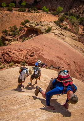 Climb down into The Maze