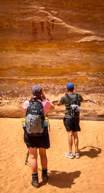 Harvest Pictograph Panel