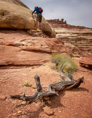 Climbing out of The Maze