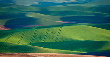 Fields from Steptoe Butte, The Palouse