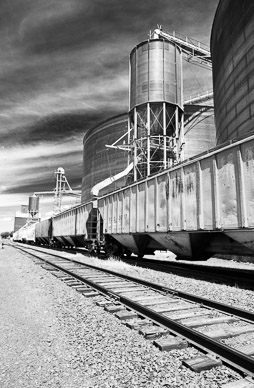 Endicott, The Palouse, Washington