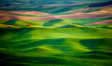 Barn & fields from Steptoe Butte, The Palouse