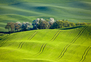 Late light from Steptoe Butte, The Palouse