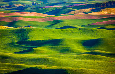 Late light from Steptoe Butte