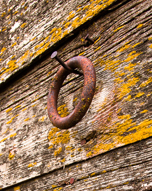 Barn detail near Rosalia, The Palouse, Washington
