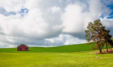 Barn near Rosalia, Washington