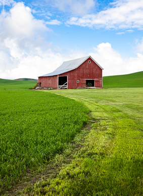 Barn near Rosalia, The Palouse, Washington