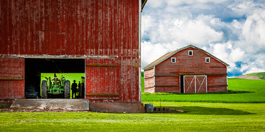 Barns near Rosalia, The Palouse, Washington