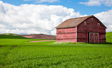 Barn near Rosalia, The Palouse, Washington