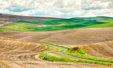Country road near Rosalia, The Palouse, Washington