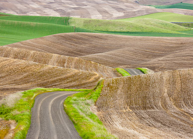 Country road near Rosalia, The Palouse, Washington