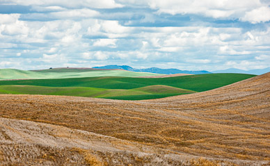 Fields near Rosalia, The Palouse, Washington