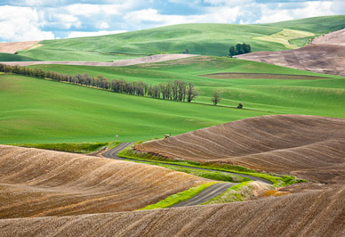 Country road near Rosalia, The Palouse, Washington