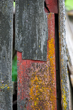 Old shed siding near Rosalia, The Palouse, Washington