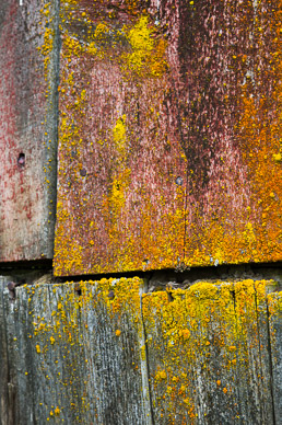 Old shed siding near Rosalia, The Palouse, Washington